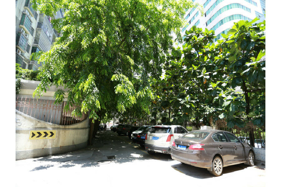 锦江都城酒店海南省政府日月广场免税店 Haikou  Eksteriør billede